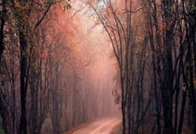 TK体育：杨毅：放在火箭队里 杜兰特没范乔丹强 范乔丹对火箭太重要了.