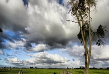 TK体育：合影时，迟到的莎莎把coco逗得笑个不停！.