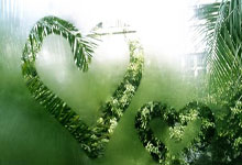 TK体育：字母哥感到無奈，快船已經盡力，太陽獲得意外好處.