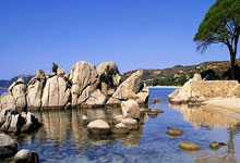 未出席颁奖！安切洛蒂当选首届金球奖最佳教练.